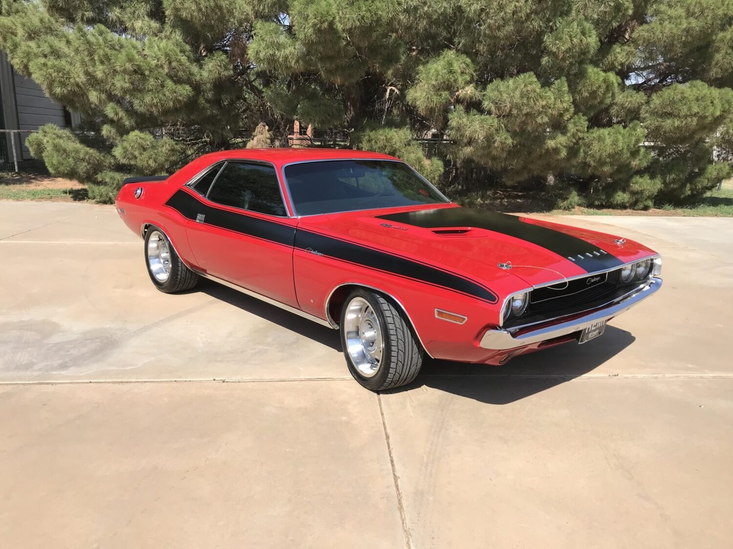 IMG_2894-83018-scaled