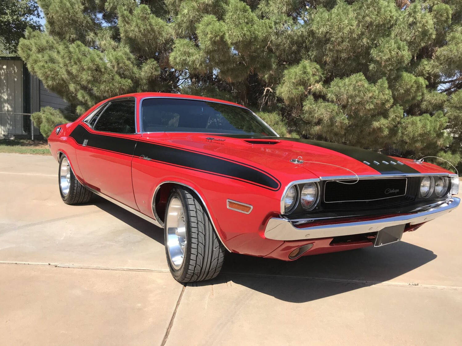 IMG_2895-83030-scaled