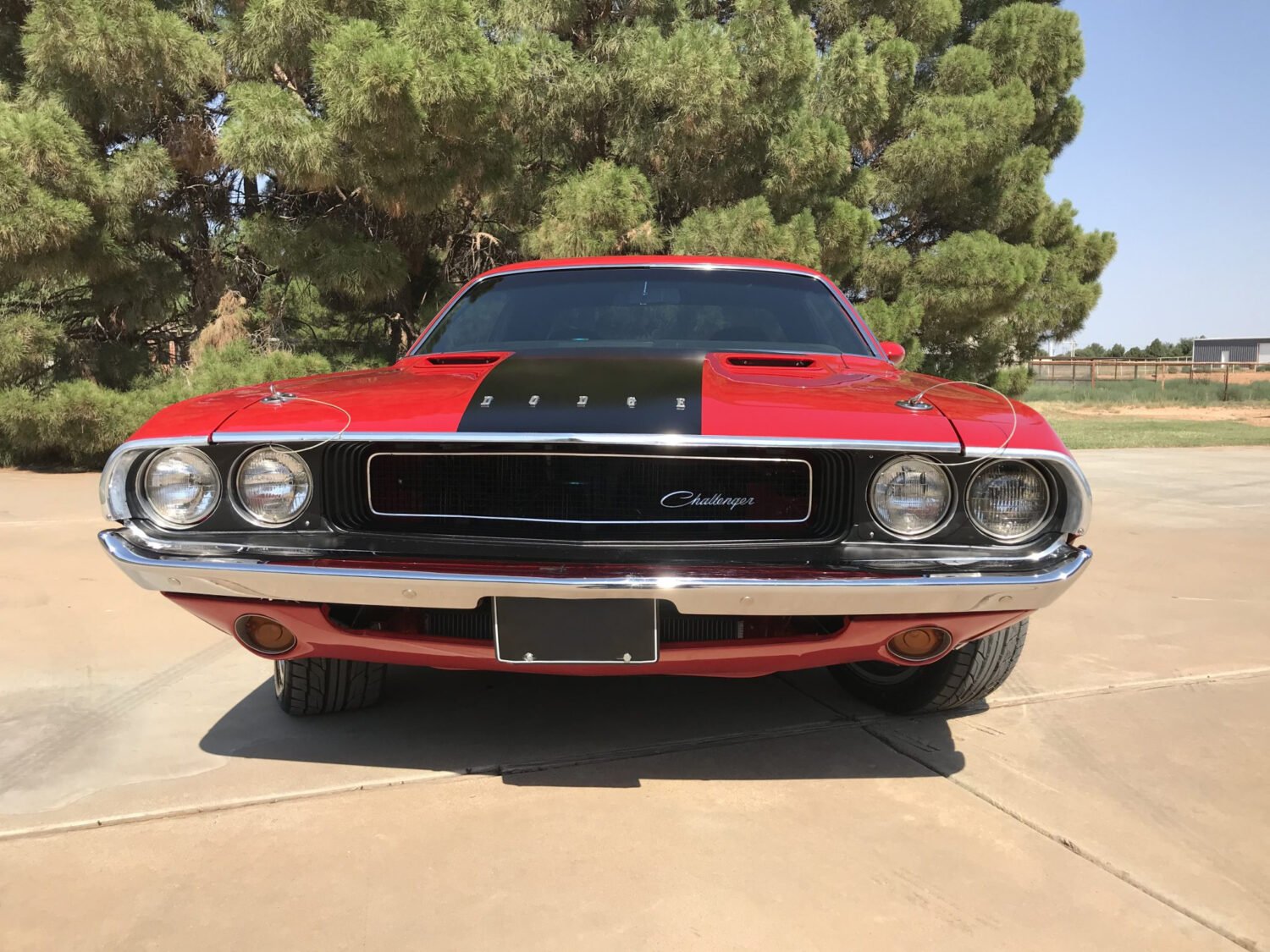 IMG_2902-83054-scaled