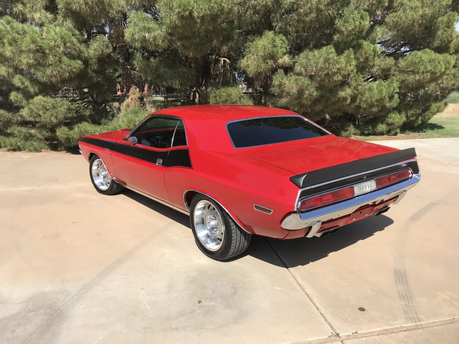 IMG_2906-83086-scaled