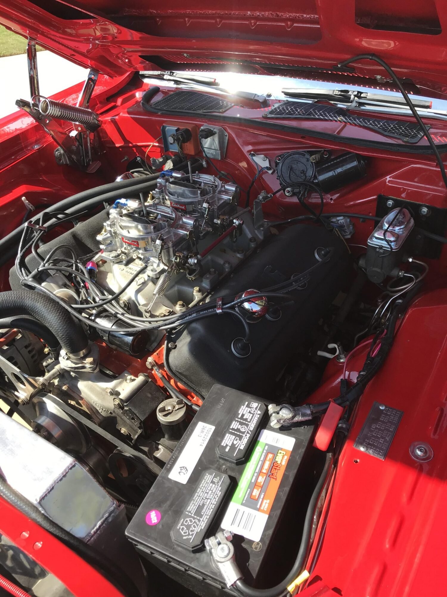 IMG_2923-83178-scaled